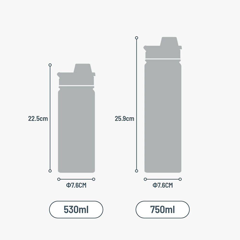 فلاسک اسپرت 530 میلی لیتر TYESO کد TS-8706B