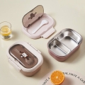 لانچ باکس دو خانه استیل طرح bento